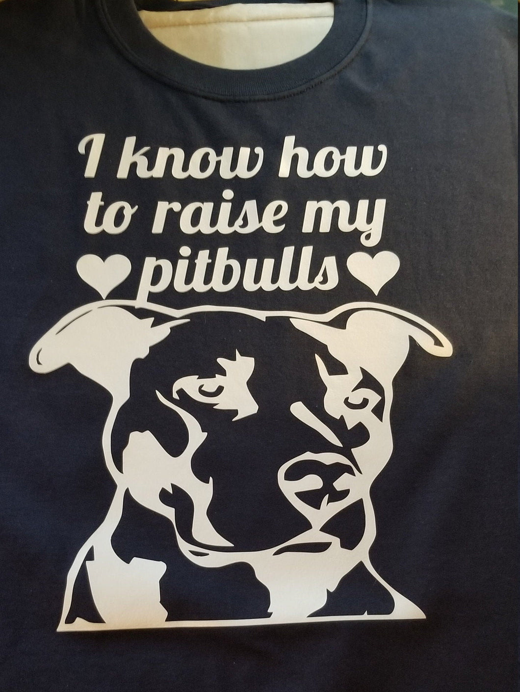 I know how to raise my pitbulls t shirt.