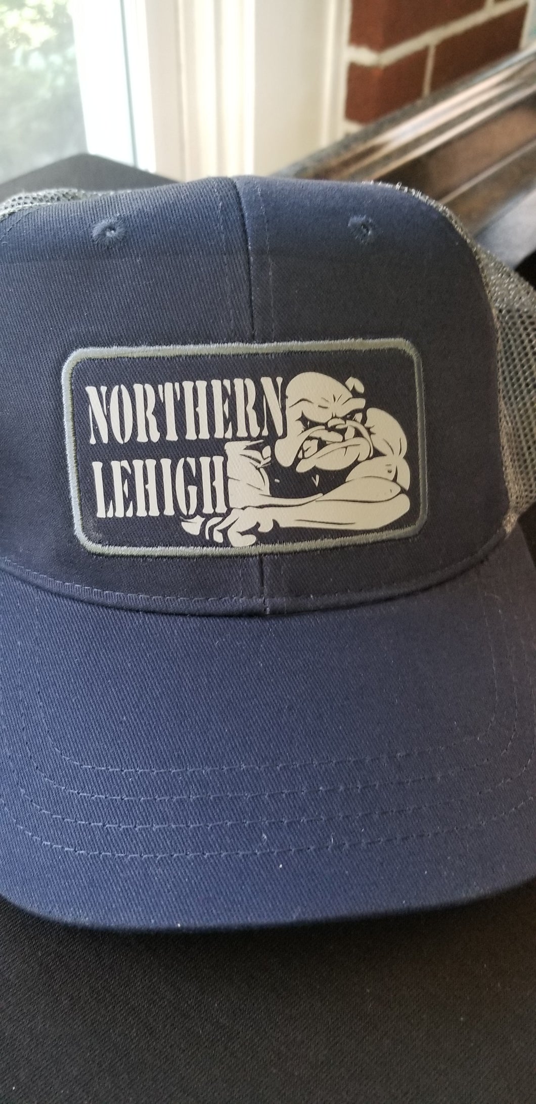 Northern lehigh snap back