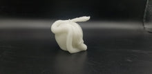 Load image into Gallery viewer, Forbidden fruit garden of eden apple 3d print
