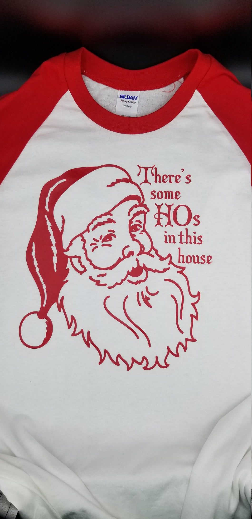 Theres some hos in this house santa raglan T