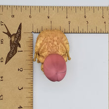 Load image into Gallery viewer, Chode toad 3d printed penis frog
