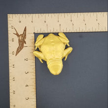 Load image into Gallery viewer, Dick frog 3d printed statue
