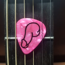 Load image into Gallery viewer, Dick pick medium guitar pick
